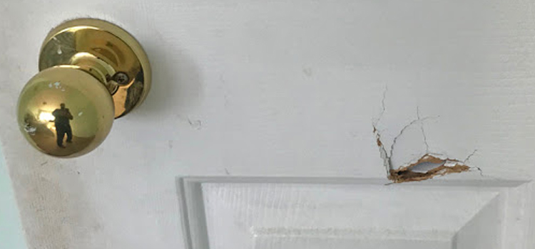 interior door hole repair Lamont